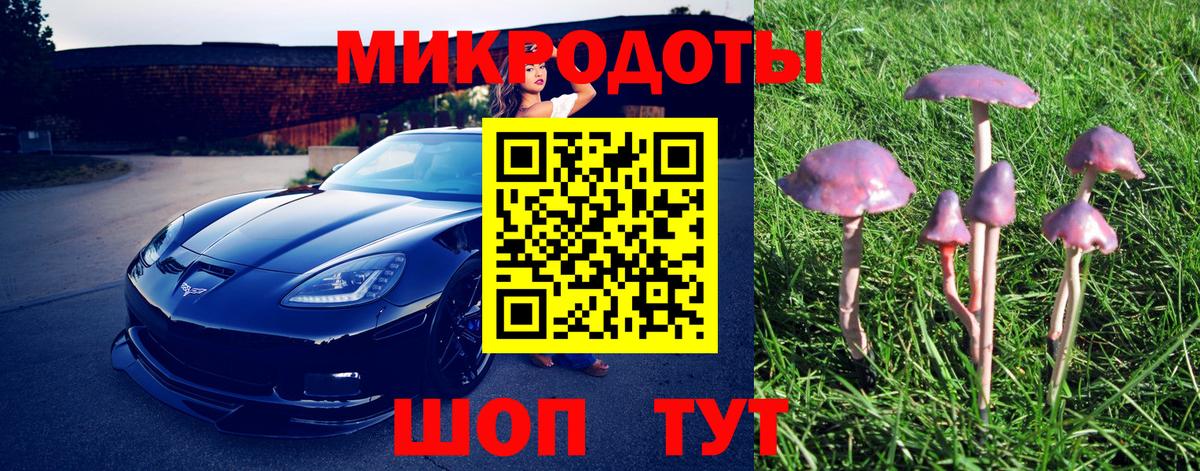 Галлюциногенные грибы MAGIC MUSHROOMS Сургут