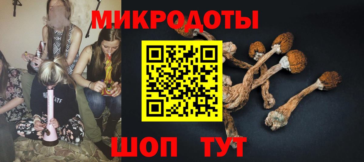 Сургут  Галлюциногенные грибы Psilocybine cubensis  Вход с VPN 